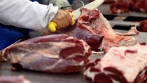 Trung Quốc tạm ngừng nhập khẩu thịt bò từ 3 công ty Brazil