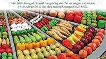 Xuất khẩu nông sản tăng vọt, lộ diện nhóm sản phẩm vượt mốc 1 tỷ USD