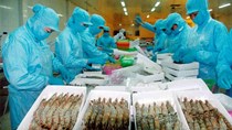 Trung Quốc tăng mạnh nhập khẩu thủy sản, Việt Nam đứng thứ 4 về cung cấp