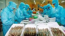 Xuất khẩu hải sản quý II sẽ chững lại vì thiếu hụt nguyên liệu và thẻ vàng IUU