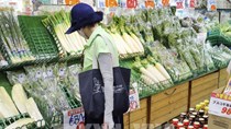 Trên 10.000 mặt hàng thực phẩm tại Nhật Bản có giá tăng trung bình 13%