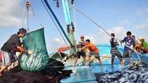 Đề án Phòng, chống khai thác hải sản bất hợp pháp, không báo cáo và không theo quy định đến năm 2025