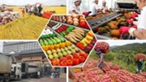 Nhiều nông sản Việt Nam chiếm lĩnh thị trường UAE