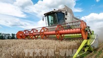 Ukraine dự báo sản lượng ngũ cốc có thể giảm 50% trong năm 2023