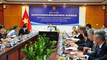 Hội nghị tham vấn quốc tế về Quy hoạch phát triển điện lực thời kỳ 2021-2030, tầm nhìn đến 2050