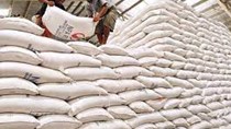 Tổng cục Dự trữ Nhà nước đấu thầu mua 220.000 tấn gạo