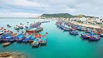  Quyết định số 658/QĐ-TTg: Tăng cường năng lực, chất lượng dịch vụ y tế khu vực biển, đảo