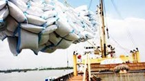 Bộ Công Thương khuyến nghị liên quan đến lệnh cấm xuất khẩu gạo của Ấn Độ