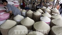 Ấn Độ áp đặt thêm các hạn chế đối với xuất khẩu gạo