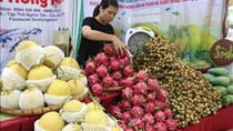 Festival nông sản Hà Nội 2023 có quy mô hơn 160 gian hàng tham gia