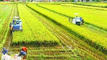 Nông nghiệp tăng trưởng cao nhất trong 10 năm