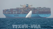 Vận tải qua Biển Đỏ giảm 20% do xung đột