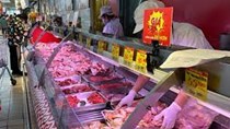 Đủ nguồn cung thịt lợn, gà phục vụ các tỉnh phía Nam dịp Tết