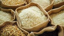 Giá gạo Ấn Độ giảm tuần thứ hai liên tiếp, gạo Việt Nam tăng 