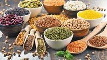 TT lương thực tuần 16-23/3: Xuất khẩu gạo của Ấn Độ giảm, ngô, đậu tương và lúa mỳ tăng