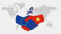 Cập nhật mới nhất quy định về nhập khẩu thủy sản của thị trường EU