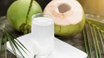 Doanh nghiệp cần lưu ý gì khi xuất khẩu dừa tươi sang Trung Quốc?