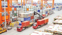 Việt Nam nằm trong tốp 10 thị trường cung ứng hàng hóa lớn nhất cho thị trường Hồng Kông