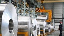 TT nhôm ngày 13/2/2025: Giá nhôm giảm do ảnh hưởng của thuế nhập khẩu