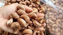 Đặc điểm xuất khẩu hạt điều trong tháng 3 năm 2025 và dự báo