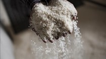 Giá gạo tại các trung tâm xuất khẩu lớn châu Á vẫn trầm lắng do nhu cầu yếu và nguồn cung dồi dào