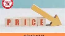 ​EU khởi xướng điều tra chống bán phá giá đối với sản phẩm nhựa PET xuất khẩu của Việt Nam
