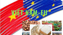 Quan hệ thương mại giữa Việt Nam và EU phát triển ổn định nhờ hiệu ứng tích cực từ Hiệp định EVFTA