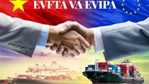 Đánh giá tác động của EVFTA tới thương mại hàng hoá Việt Nam - EU 8 tháng đầu năm 2025