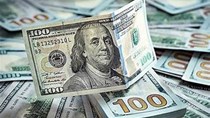 Đồng USD ổn định khi thị trường chờ quyết định của Fed
