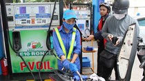 290 triệu lít xăng E10 được tiêu thụ sau 10 ngày triển khai trên toàn quốc