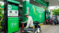 Ban hành Nghị quyết thí điểm một số chính sách trong triển khai lộ trình sử dụng xăng E10