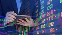 Nửa cuối năm 2026: Thị trường bước vào cuộc chơi chọn lọc cơ hội