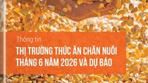 Thị trường thức ăn chăn nuôi tháng 6 năm 2026 và dự báo