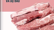 THÔNG TIN THỊ TRƯỜNG THỊT LỢN THÁNG 6 NĂM 2026 VÀ DỰ BÁO