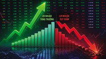 Bức tranh lợi nhuận của các công ty chứng khoán: Nhóm dẫn đầu bứt tốc, nhiều doanh nghiệp hụt hơi 