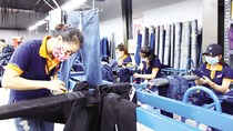Nền kinh tế tiếp tục duy trì xu hướng tích cực