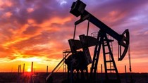 Giá dầu 20 USD/thùng đã thành hiện thực