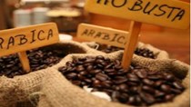 Bản tin thị trường cà phê ngày 14-01-2016