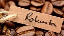 Giá cà phê Robusta xuống thấp nhất 5 năm