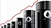 Giá năng lượng tại thị trường thế giới ngày 21/1/2016
