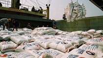 Tháng 1, sản lượng xuất khẩu gạo tăng khoảng 46%