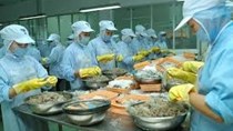 Hỗ trợ doanh nghiệp thủy sản Việt Nam chuẩn bị điều kiện hội nhập quốc tế