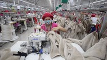 Doanh nghiệp dệt may Mexico tìm cơ hội hợp tác tại Việt Nam 