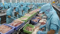 Xuất khẩu thủy sản có thể đạt 7,12 tỷ USD trong năm 2016