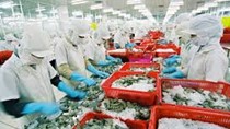 Tiền Giang: Nhiều doanh nghiệp chế biến nông thủy sản áp dụng sản xuất sạch hơn