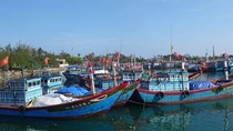 Ngư dân khốn đốn vì cá rớt giá liên tục
