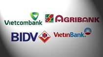 Khám sức khỏe nhóm “Big 4” ngân hàng Việt Nam