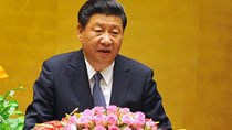 Ông Tập Cận Bình: Việt Nam - Trung Quốc cần xuất phát từ đại cục để xử lý bất đồng