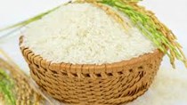 Thị trường lúa gạo ngày 25/9: giá gạo nguyên liệu xuất khẩu giảm nhẹ