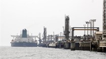Xuất khẩu hàng hóa sang Pakistan tăng nhẹ trong 8 tháng đầu năm 2020